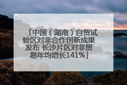 中国（湖南）自贸试验区对非合作创新成果发布 长沙片区对非贸易年均增长141%