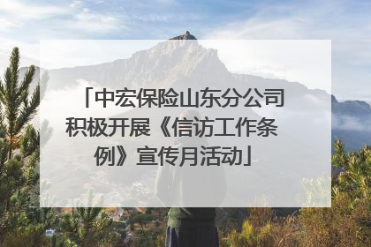 中宏保险山东分公司积极开展《信访工作条例》宣传月活动