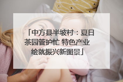 中方县半坡村：夏日茶园管护忙 特色产业绘就振兴新图景