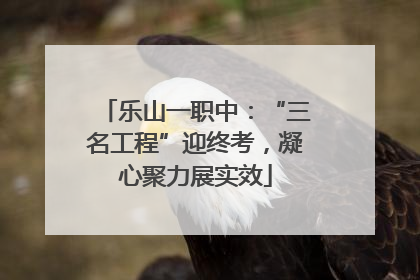 乐山一职中：“三名工程”迎终考，凝心聚力展实效