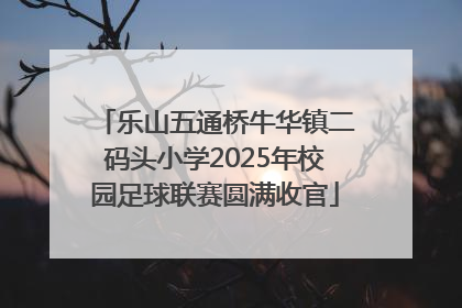 乐山五通桥牛华镇二码头小学2025年校园足球联赛圆满收官