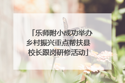 乐师附小成功举办乡村振兴重点帮扶县校长跟岗研修活动