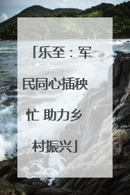乐至：军民同心插秧忙 助力乡村振兴