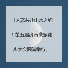 人宠共赴山水之约！第五届济南携宠徒步大会圆满举行