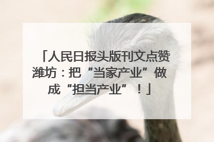 人民日报头版刊文点赞潍坊：把“当家产业”做成“担当产业”！