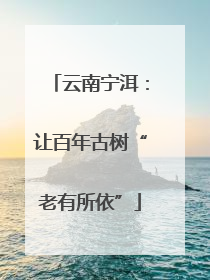 云南宁洱：让百年古树“老有所依”