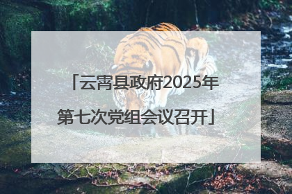 云霄县政府2025年第七次党组会议召开