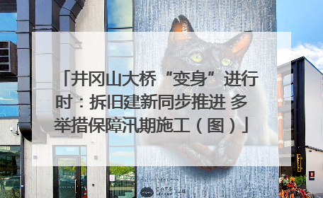 井冈山大桥“变身”进行时：拆旧建新同步推进 多举措保障汛期施工（图）