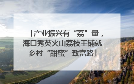 产业振兴有“荔”量，海口秀英火山荔枝王铺就乡村“甜蜜”致富路
