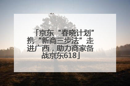 京东“春晓计划”携“新商三步法”走进广西，助力商家备战京东618