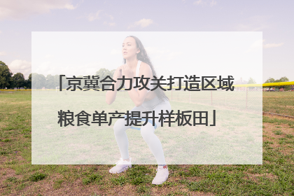 京冀合力攻关打造区域粮食单产提升样板田