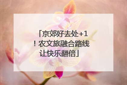 京郊好去处+1！农文旅融合路线让快乐翻倍