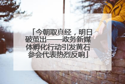 今朝取真经，明日破茧出——政务新媒体孵化行动引发黄石参会代表热烈反响