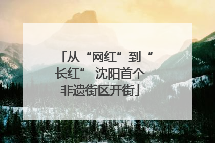从“网红”到“长红” 沈阳首个非遗街区开街