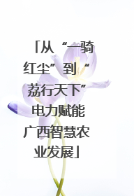 从“一骑红尘”到“荔行天下” 电力赋能广西智慧农业发展