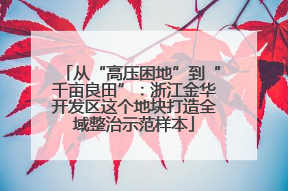从“高压困地”到“千亩良田”：浙江金华开发区这个地块打造全域整治示范样本