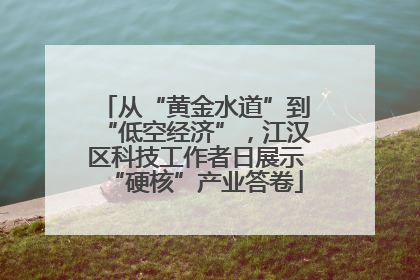 从“黄金水道”到“低空经济”，江汉区科技工作者日展示“硬核”产业答卷