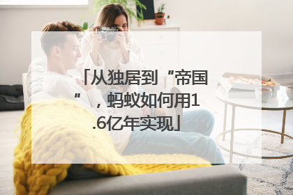 从独居到“帝国”，蚂蚁如何用1.6亿年实现