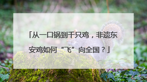 从一口锅到千只鸡，非遗东安鸡如何“飞”向全国？
