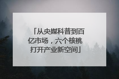 从央媒科普到百亿市场，六个核桃打开产业新空间
