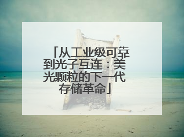 从工业级可靠到光子互连：美光颗粒的下一代存储革命