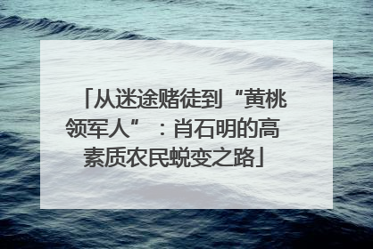 从迷途赌徒到“黄桃领军人”：肖石明的高素质农民蜕变之路