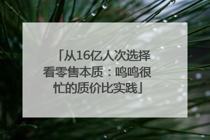 从16亿人次选择看零售本质：鸣鸣很忙的质价比实践