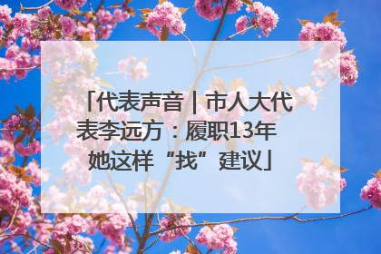 代表声音｜市人大代表李远方：履职13年 她这样“找”建议
