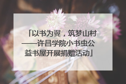 以书为翼，筑梦山村——许昌学院小书虫公益书屋开展捐赠活动