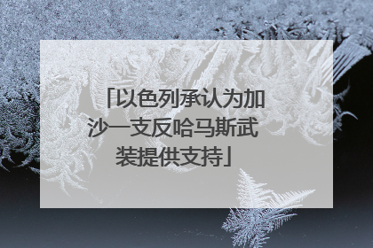 以色列承认为加沙一支反哈马斯武装提供支持