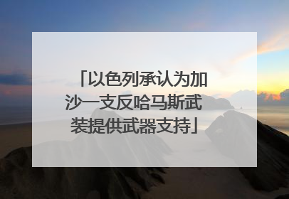 以色列承认为加沙一支反哈马斯武装提供武器支持