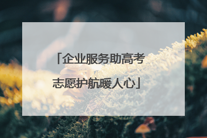 企业服务助高考 志愿护航暖人心