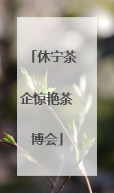 休宁茶企惊艳茶博会