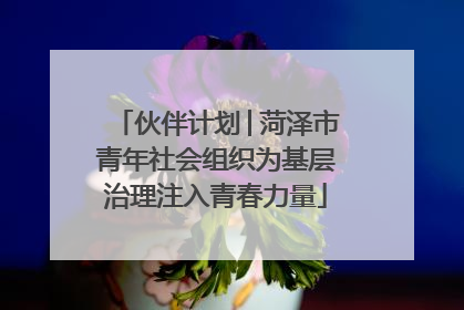 伙伴计划│菏泽市青年社会组织为基层治理注入青春力量