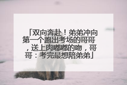 双向奔赴！弟弟冲向第一个跑出考场的哥哥，送上肉嘟嘟的吻，哥哥：考完最想陪弟弟