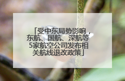 受中东局势影响，东航、国航、深航等5家航空公司发布相关航线退改政策