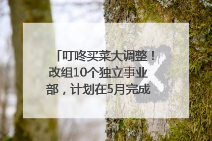 叮咚买菜大调整！改组10个独立事业部，计划在5月完成App端全面改版