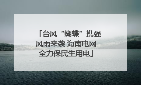 台风“蝴蝶”携强风雨来袭 海南电网全力保民生用电