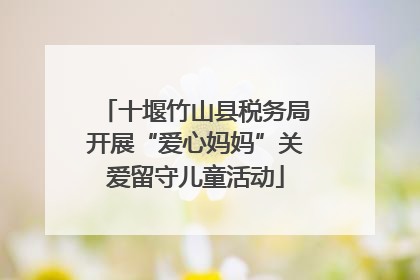 十堰竹山县税务局开展“爱心妈妈”关爱留守儿童活动