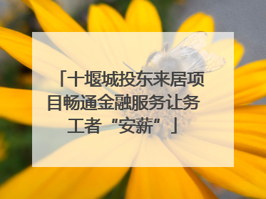 十堰城投东来居项目畅通金融服务让务工者“安薪”