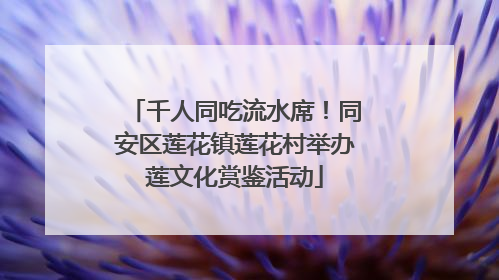 千人同吃流水席！同安区莲花镇莲花村举办莲文化赏鉴活动