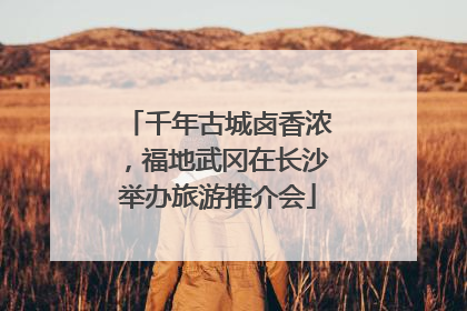 千年古城卤香浓，福地武冈在长沙举办旅游推介会