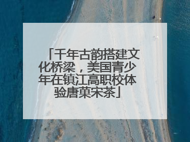 千年古韵搭建文化桥梁，美国青少年在镇江高职校体验唐菓宋茶