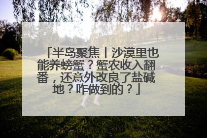 半岛聚焦丨沙漠里也能养螃蟹？蟹农收入翻番，还意外改良了盐碱地？咋做到的？