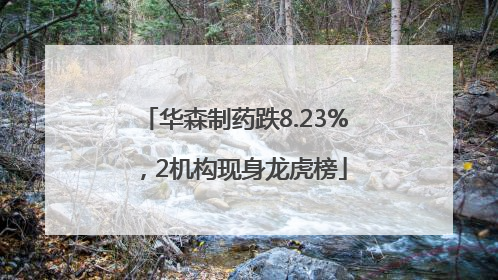 华森制药跌8.23%，2机构现身龙虎榜