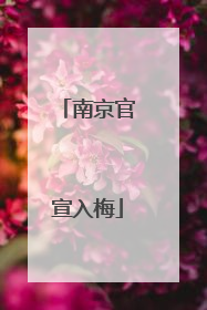 南京官宣入梅