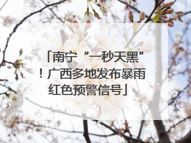 南宁“一秒天黑”！广西多地发布暴雨红色预警信号