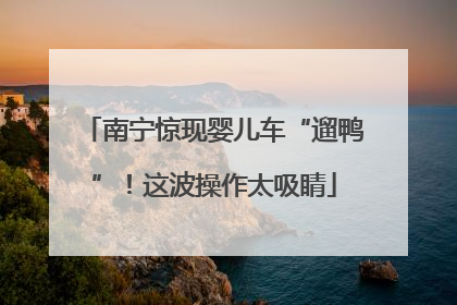 南宁惊现婴儿车“遛鸭”！这波操作太吸睛