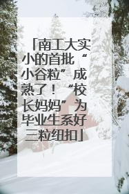 南工大实小的首批“小谷粒”成熟了！“校长妈妈”为毕业生系好三粒纽扣