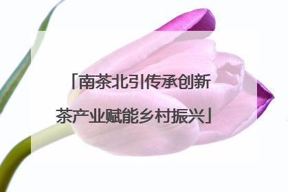 南茶北引传承创新 茶产业赋能乡村振兴